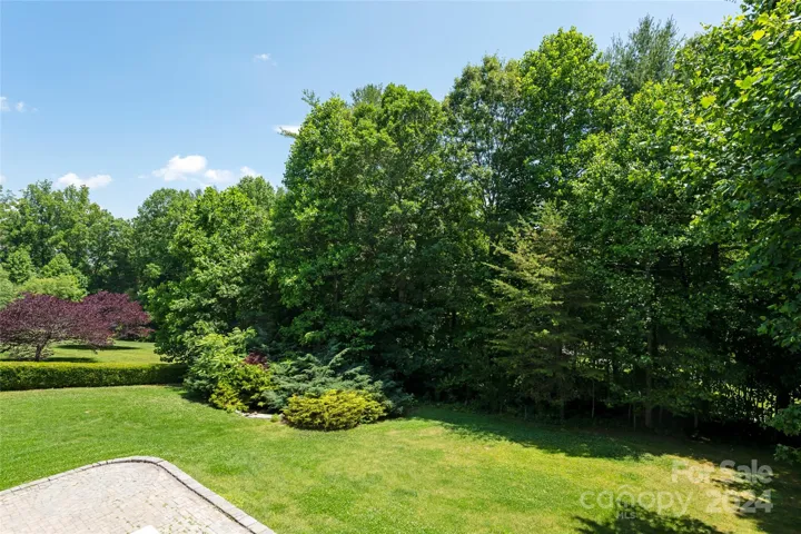 Large level back yard