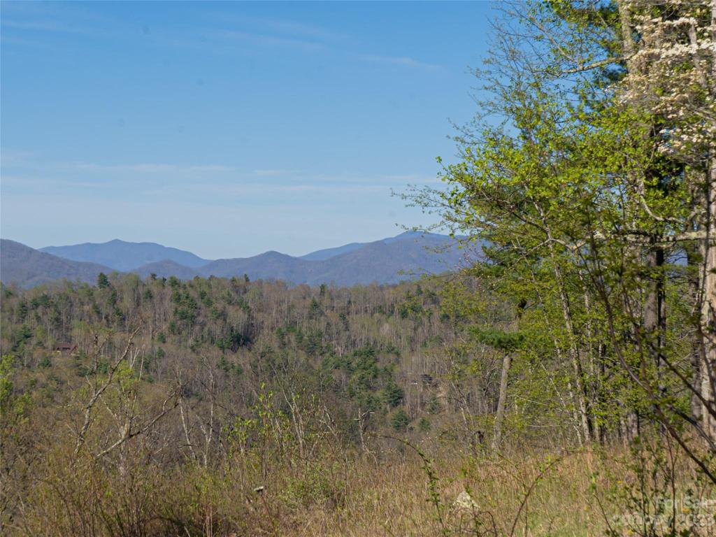 Views from homesite