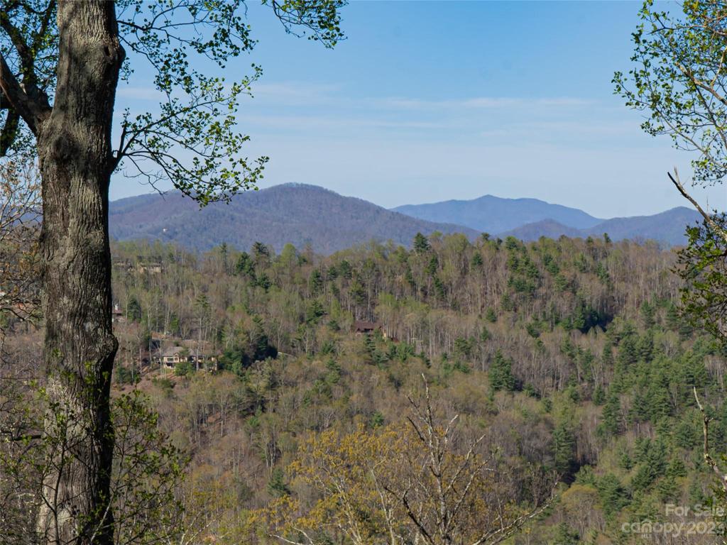 Views from homesite