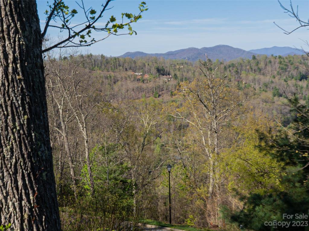Views from homesite