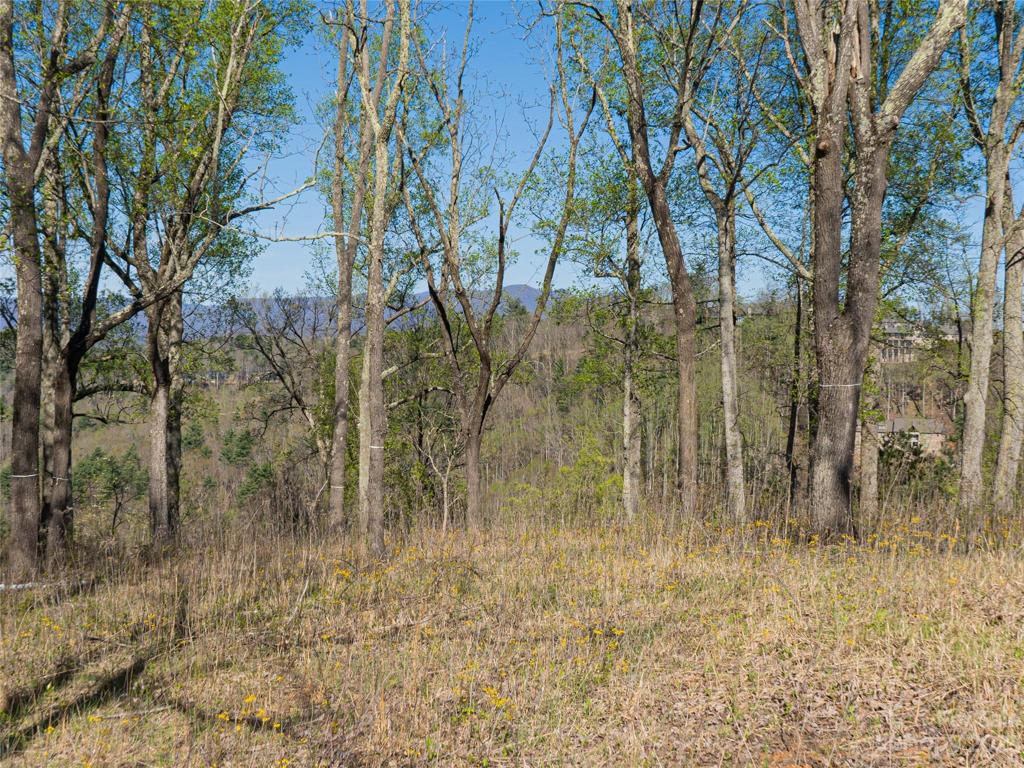 Homesite
