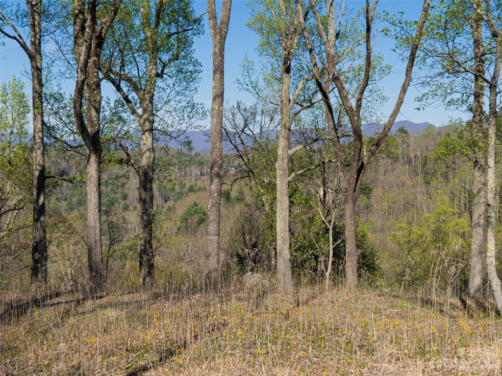 Homesite