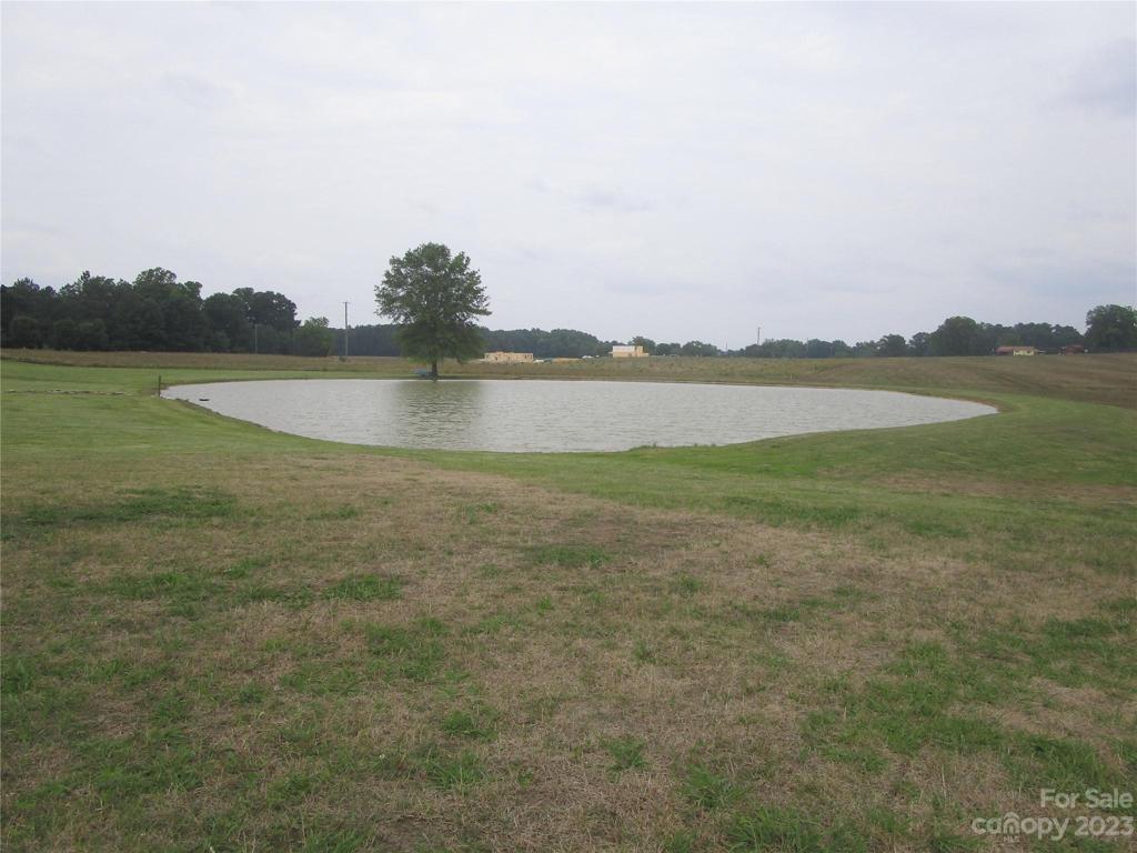View of pond from backyard