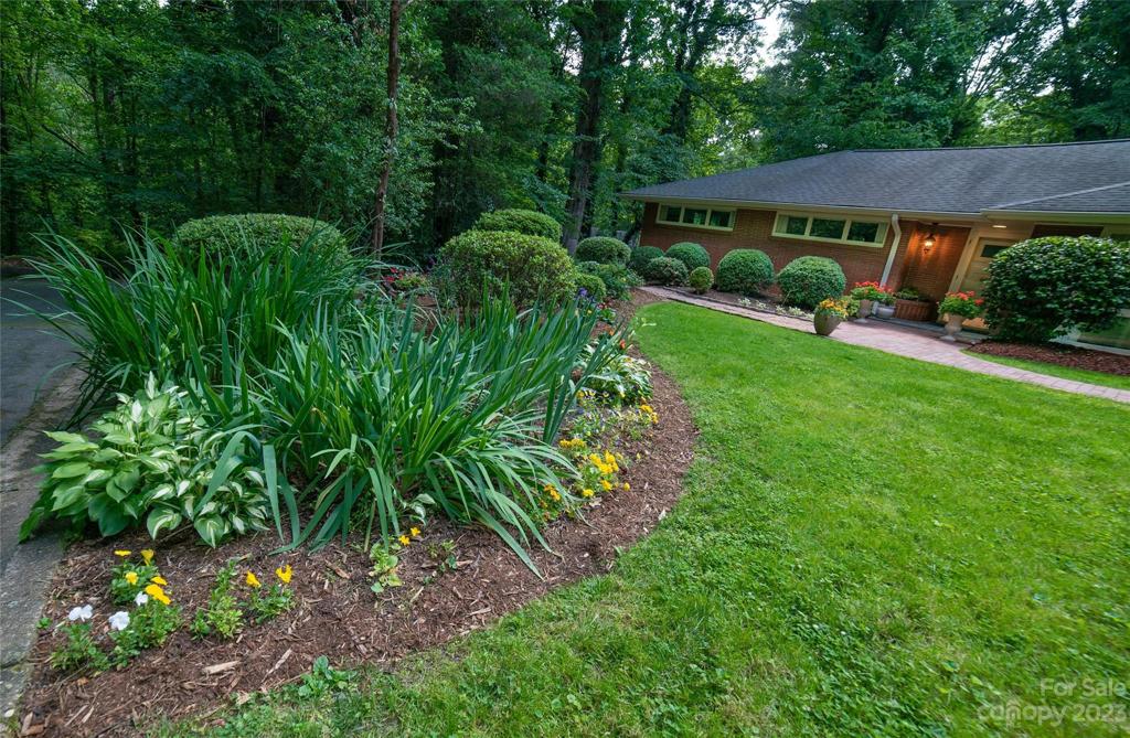 Front Garden