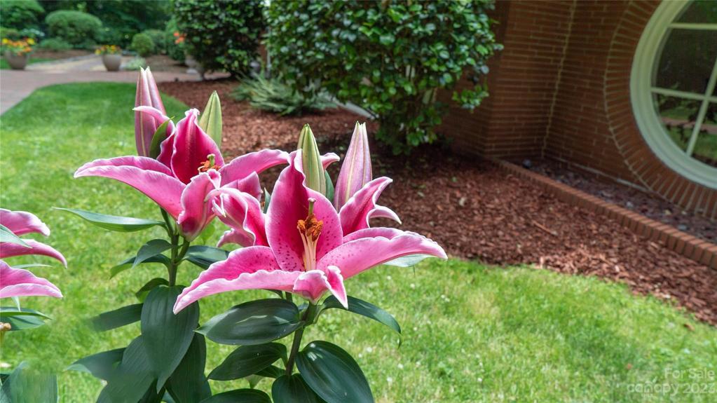 Beautiful landscaping