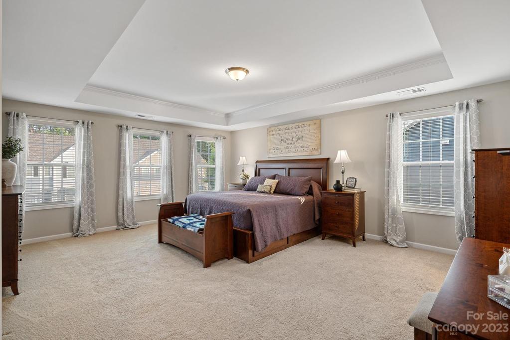 Spacious primary bedroom with tray ceiling and lots of windows.