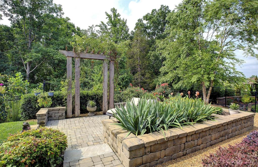 Backyard Patio with Pergola