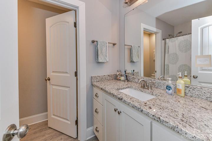 Full/hall bathroom