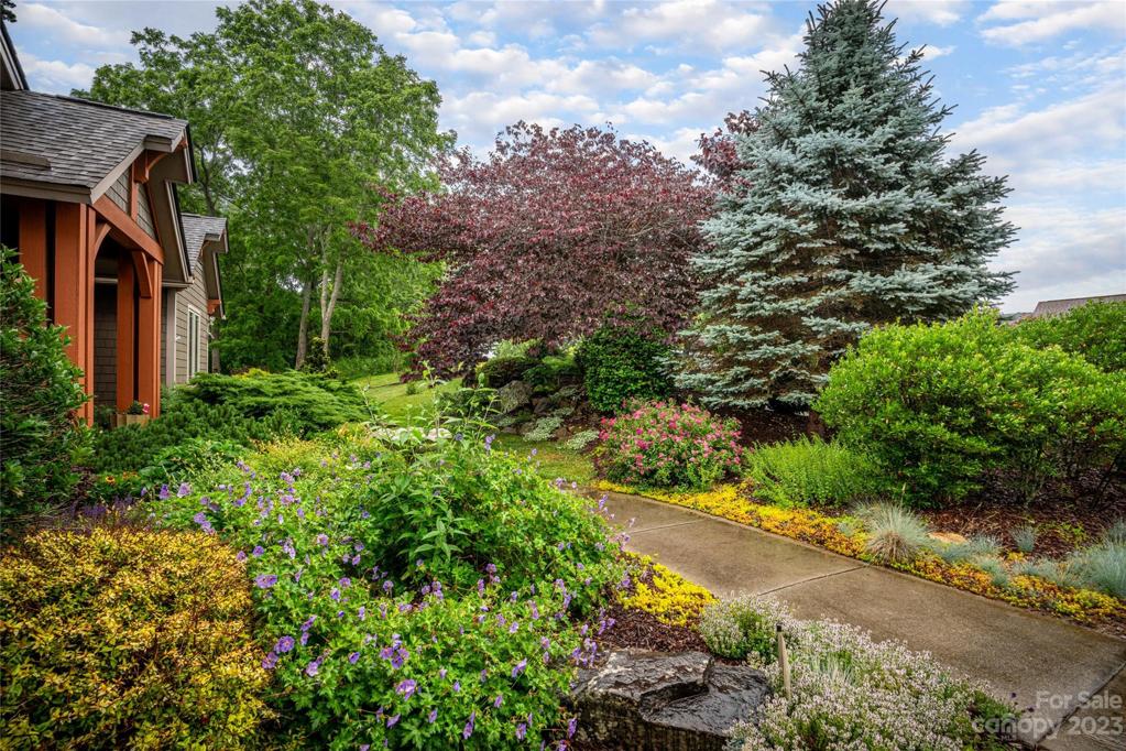 Lush landscaping