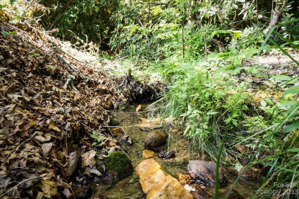 Gracious sounds from the babbling stream located in the side yard
