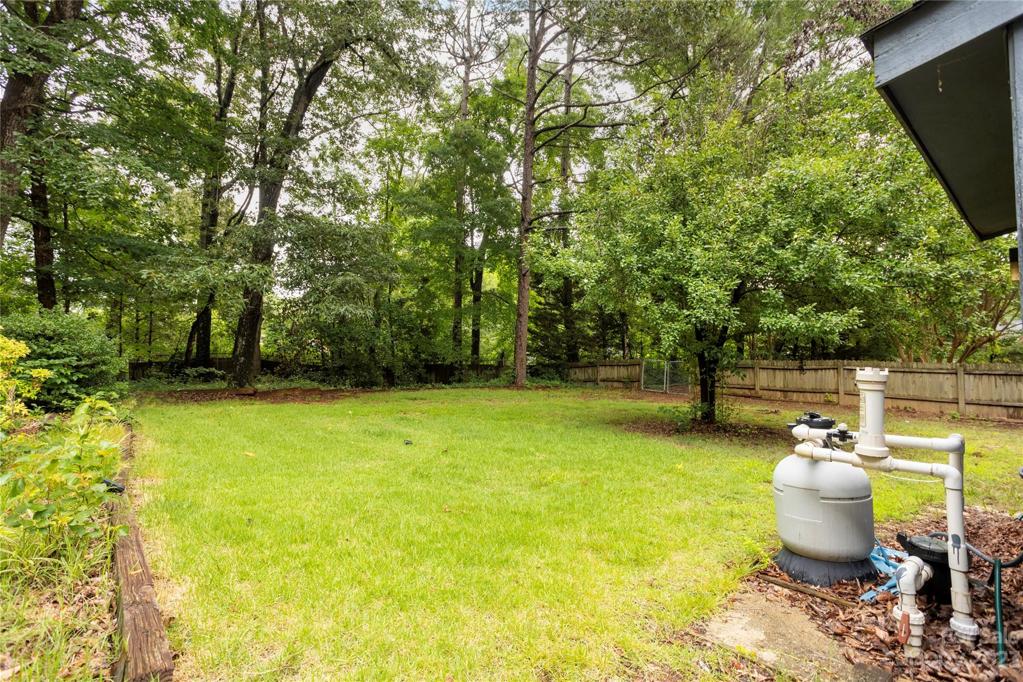 Backyard photo