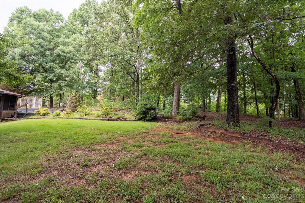 Backyard photo