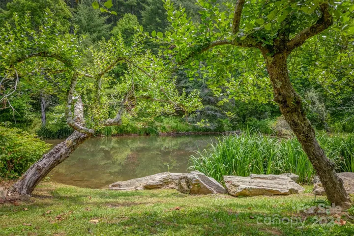 middle pond