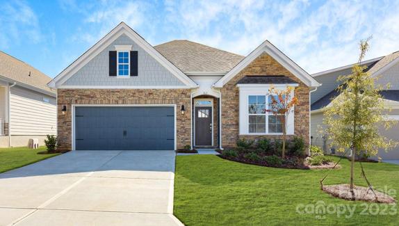 Representative Picture