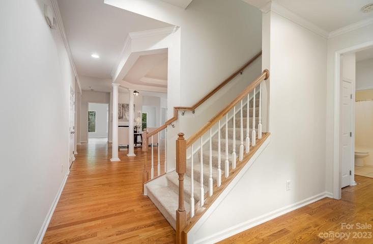 Open, Spacious and freshly painted!