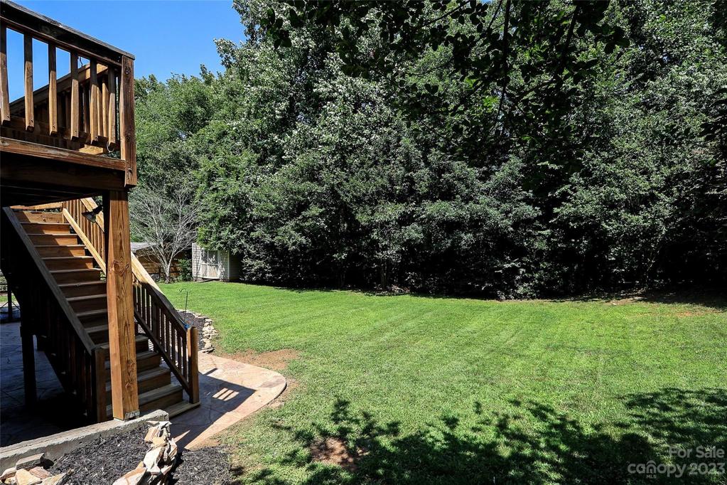 Backyard (.37 acre wooded lot)