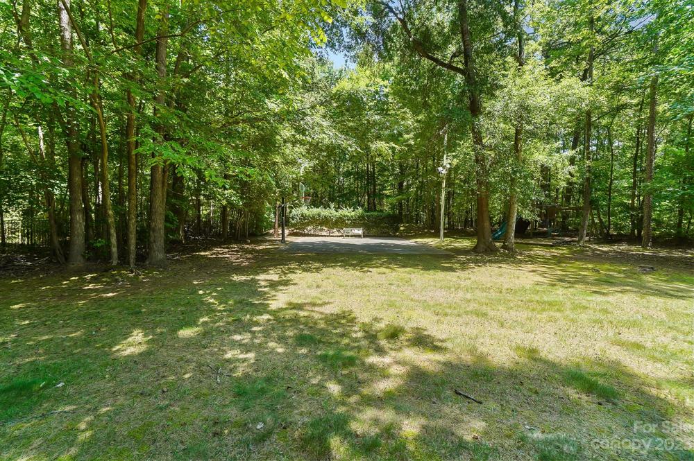 Large backyard