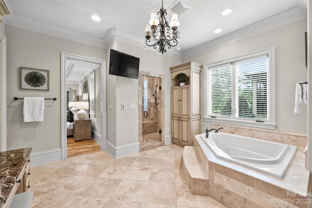 Lower level primary spa bath