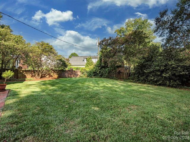 Private back yard!