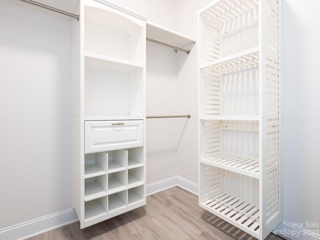 Representational Photo -Primary Walk-in Closet 1