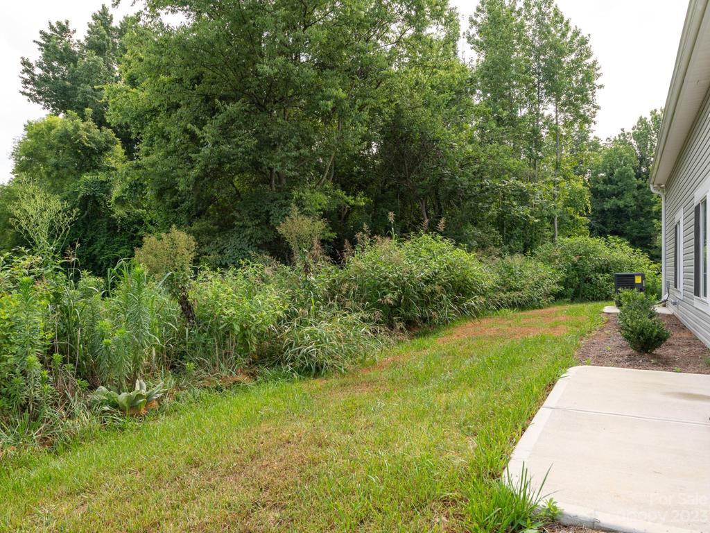 Representational Photo - backyard