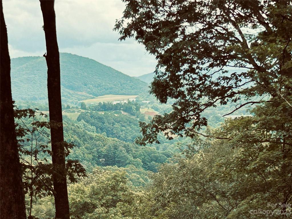 A prime lot in New Poplar Forest Community