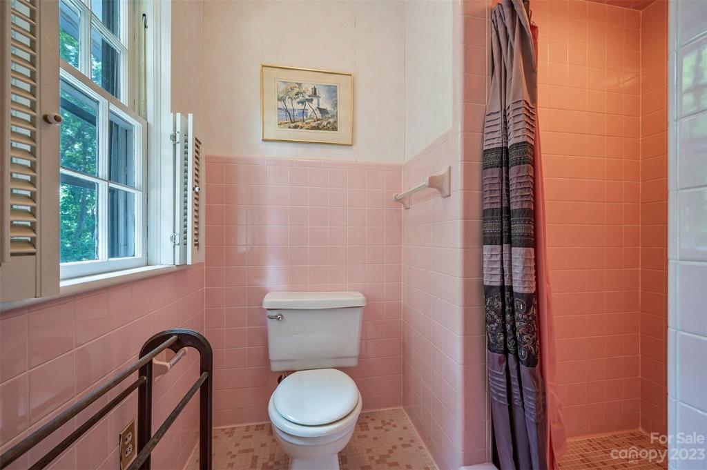 Half bath (toilet/shower) for BR #1