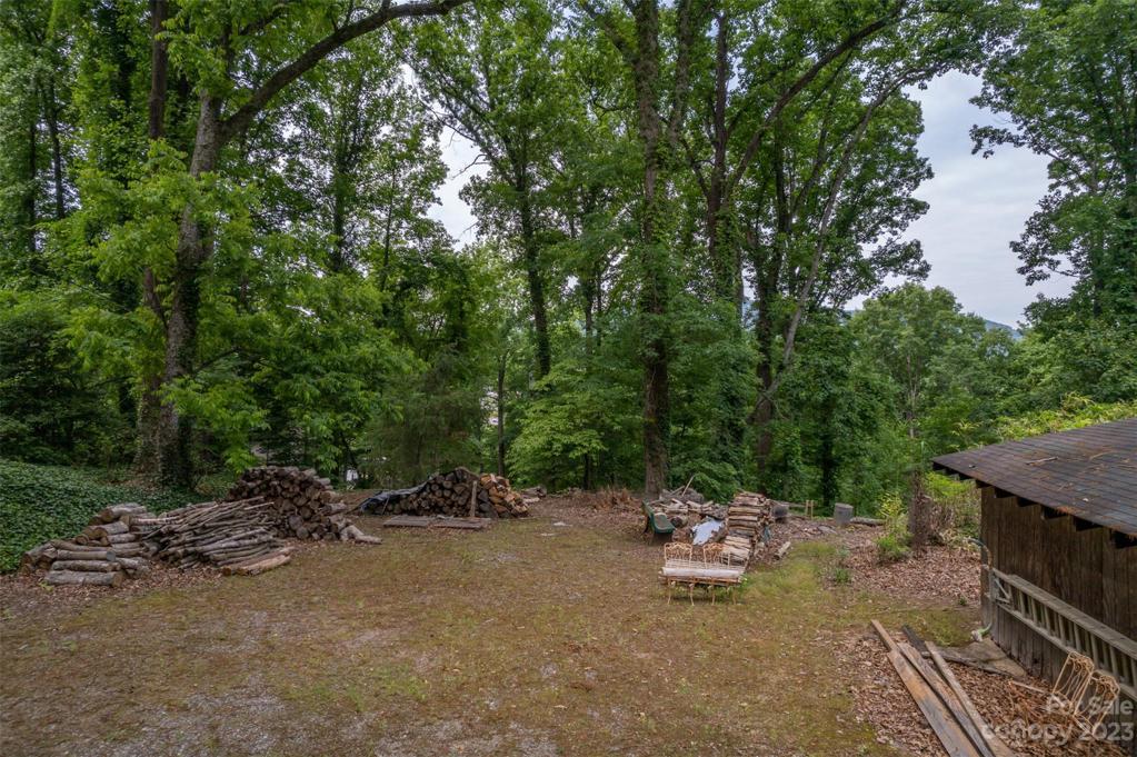 Additional area behind the detached garage. You can see a wink of the mountains now, with a full view in the winter.