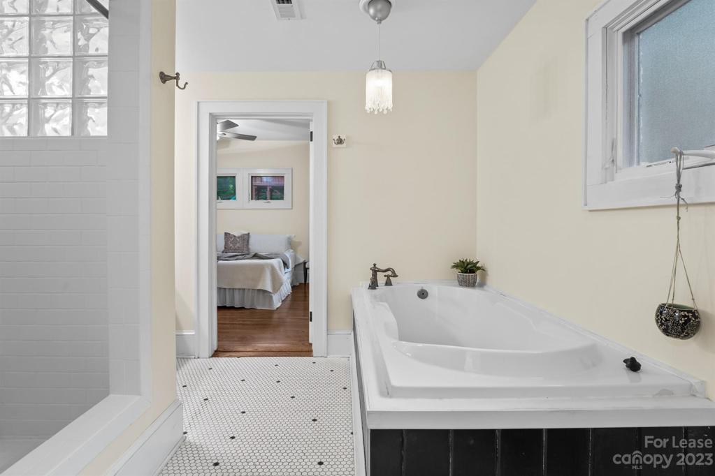 Primary Bath Tub
