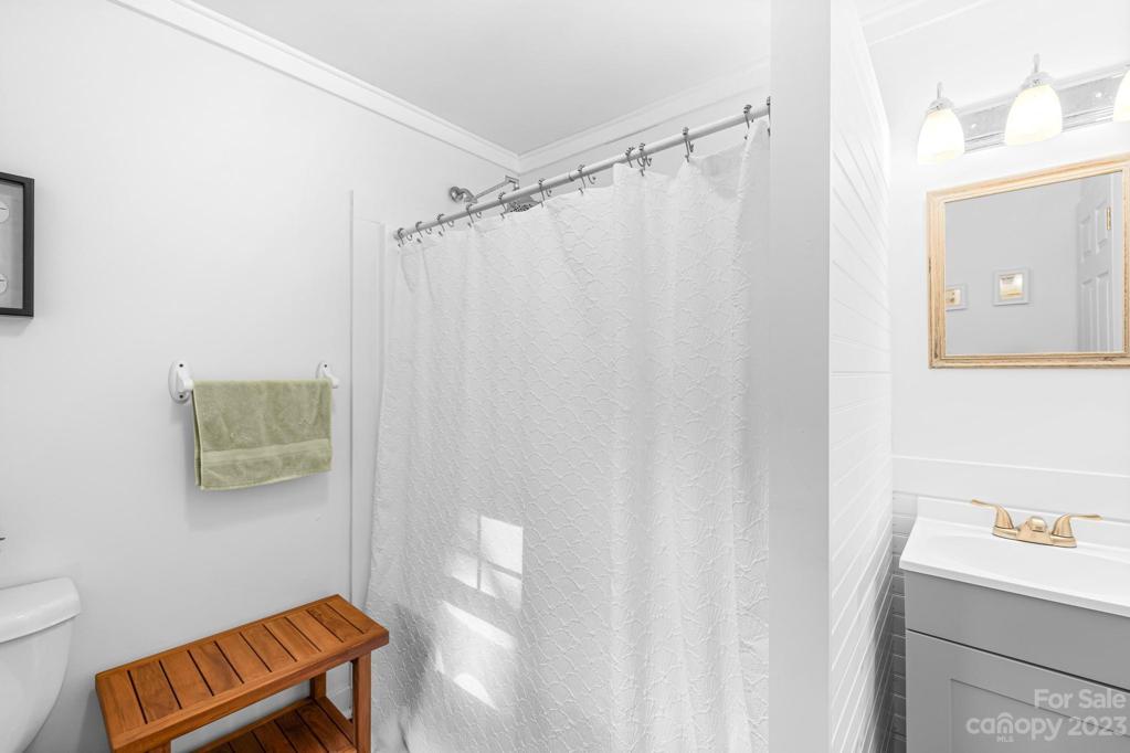 Main Bathroom off of Flex Room