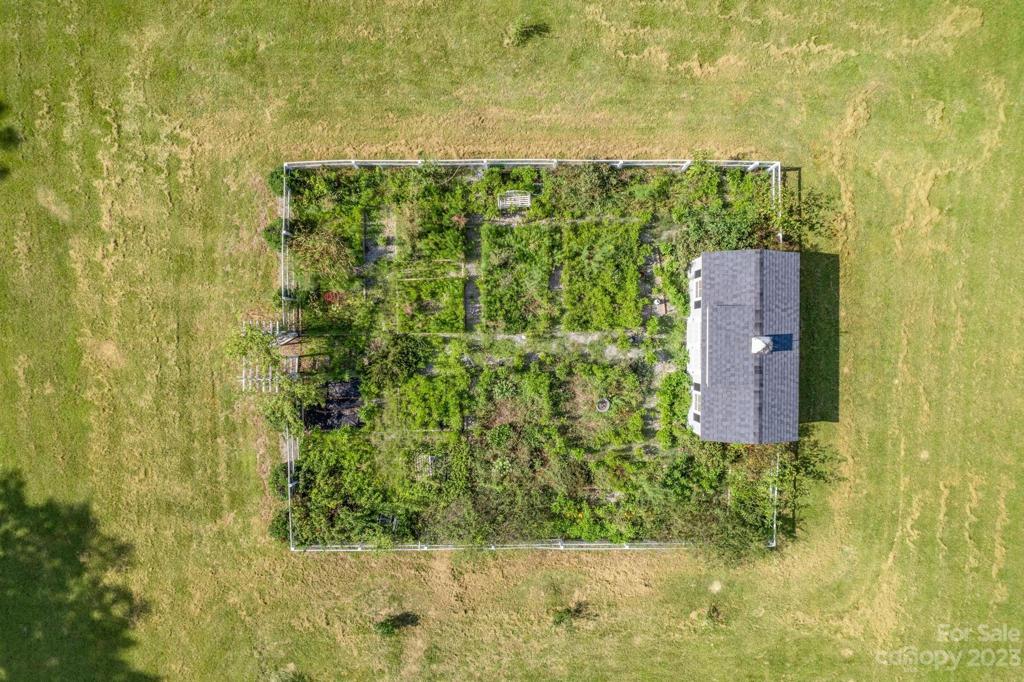 Garden Shed with gardens