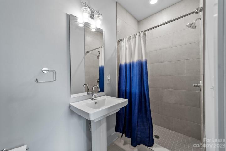 Lower level full bathroom