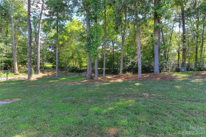 Back yard is big, flat with plenty of nice shade.