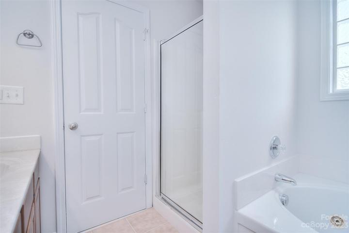 Spacious walk-in shower and separate Jacuzzi tub.