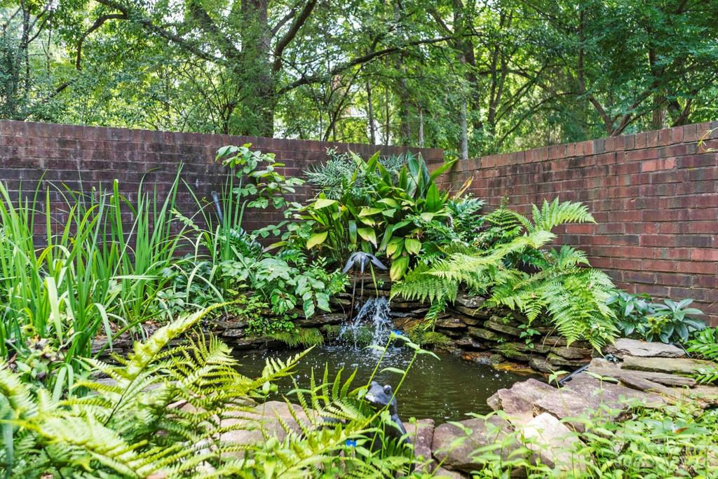 Private pond in enclosed backyard space