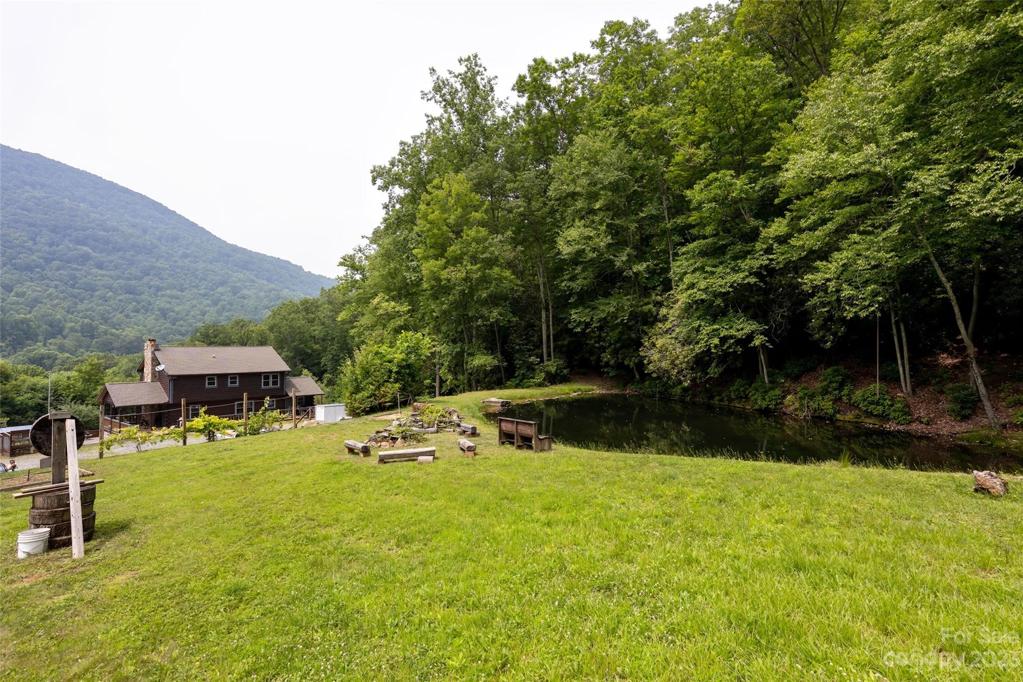Stocked trout pond
