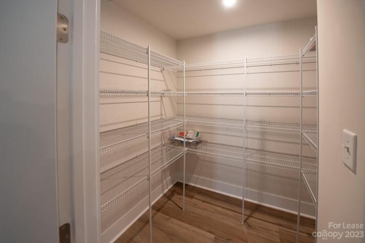 Huge walk-in Pantry