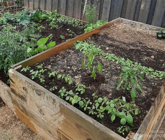 Raised garden beds