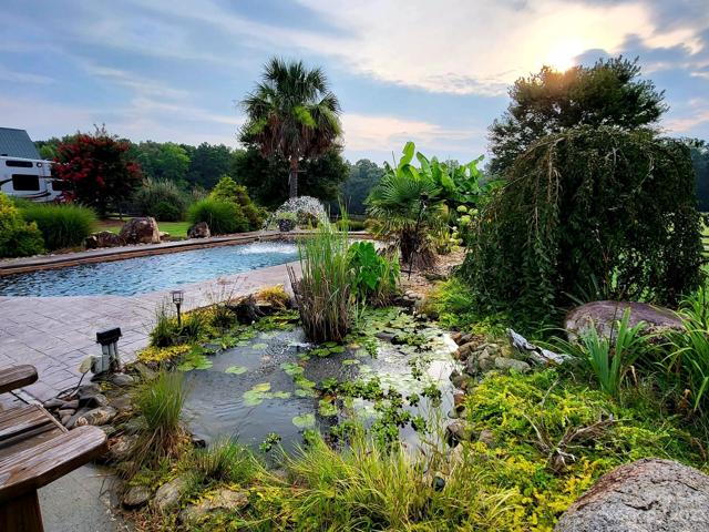 Koi Pond and Pool. . . Beautiful place to have your morning coffee.