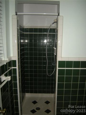 Master Shower.