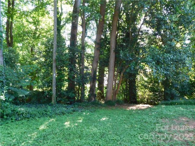 Another view of backyard.