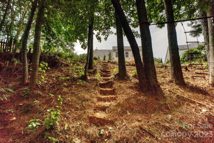 wooded area below