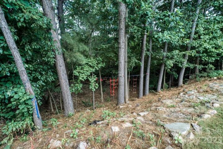 view of wooded area from main grass area