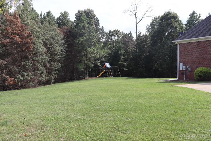 View of your tree-lined yard and woods for the kids to play in.