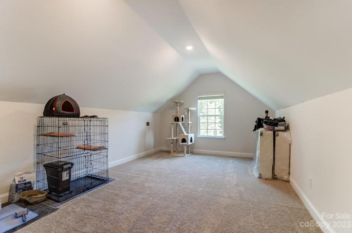 Bonus Room