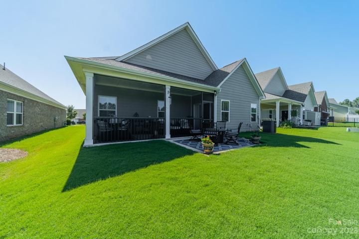 Backyard and Porch