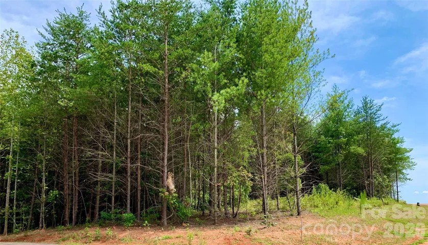 Lot G49 is 2.35 acres