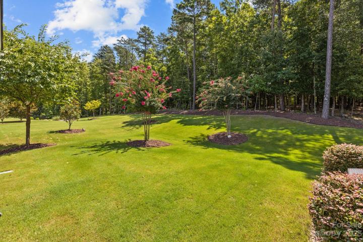 Professional landscaped yard