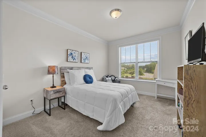 Downstairs bedroom