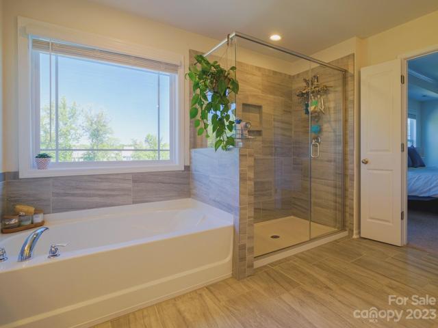 Garden tub and shower
